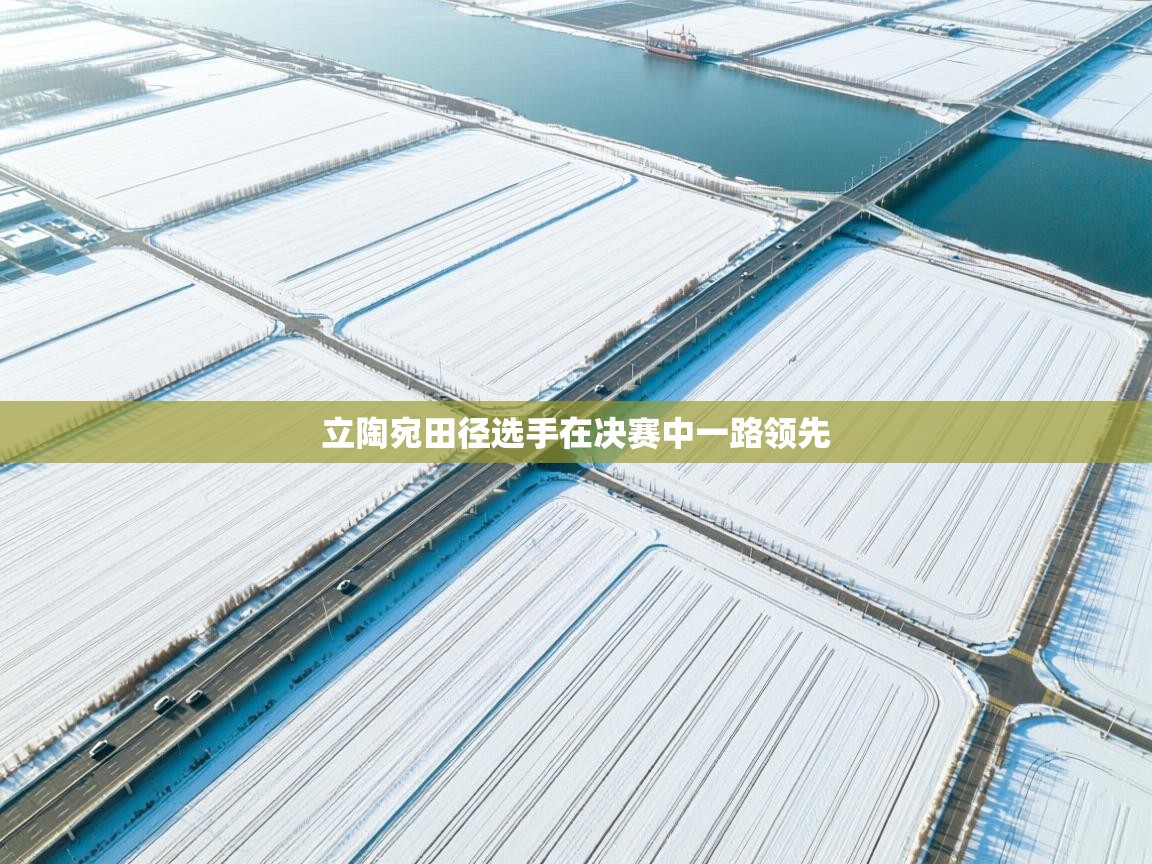 开云体育app下载-立陶宛田径选手在决赛中一路领先 第3张