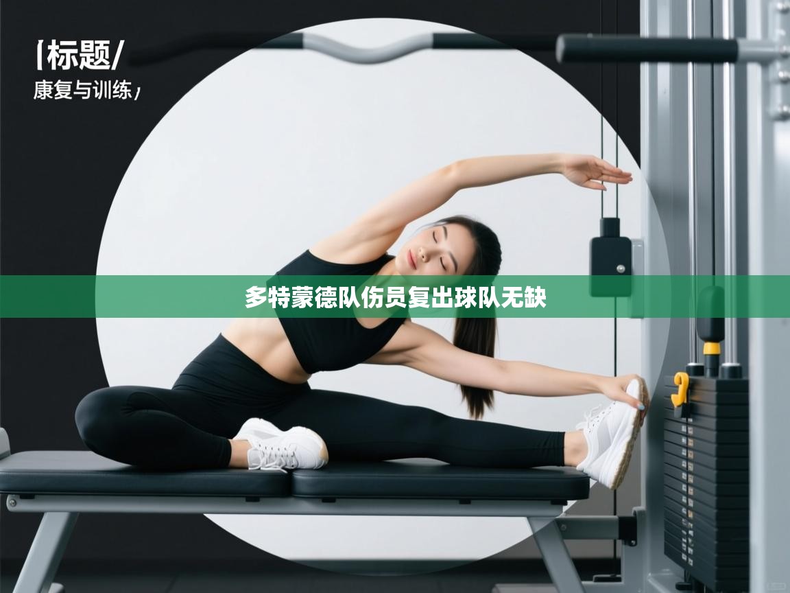 开云体育app官网网页登录入口-多特蒙德队伤员复出球队无缺  第3张