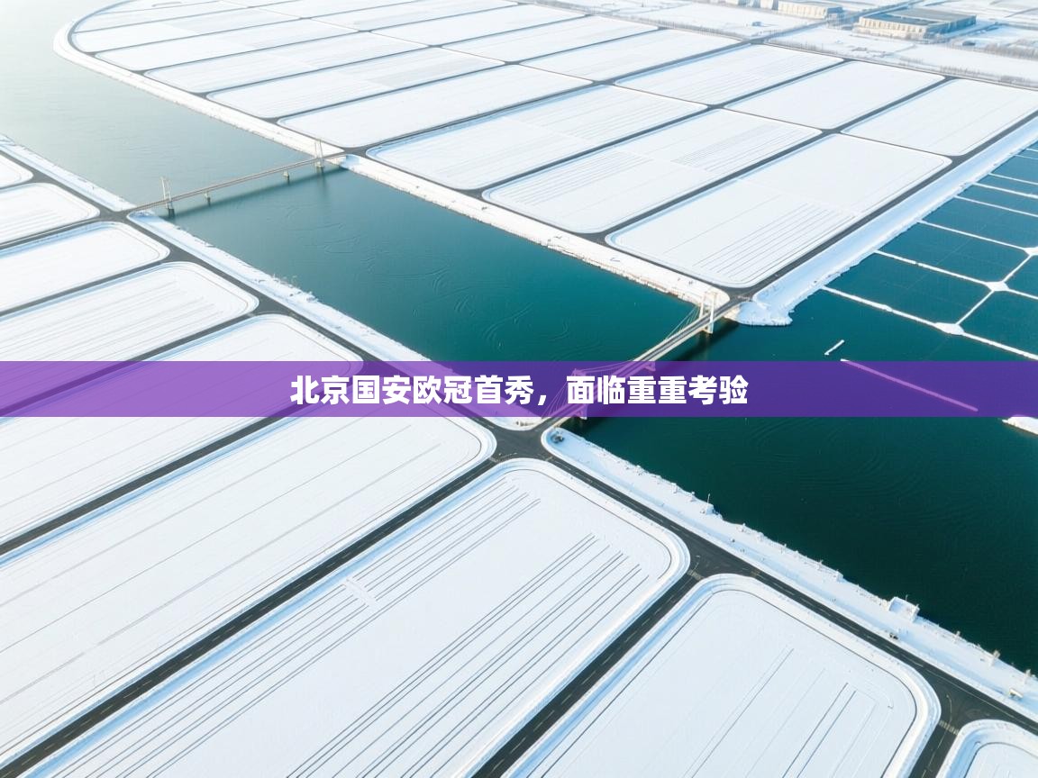 开云kaiyun体育app入口下载官网-北京国安欧冠首秀，面临重重考验  第4张