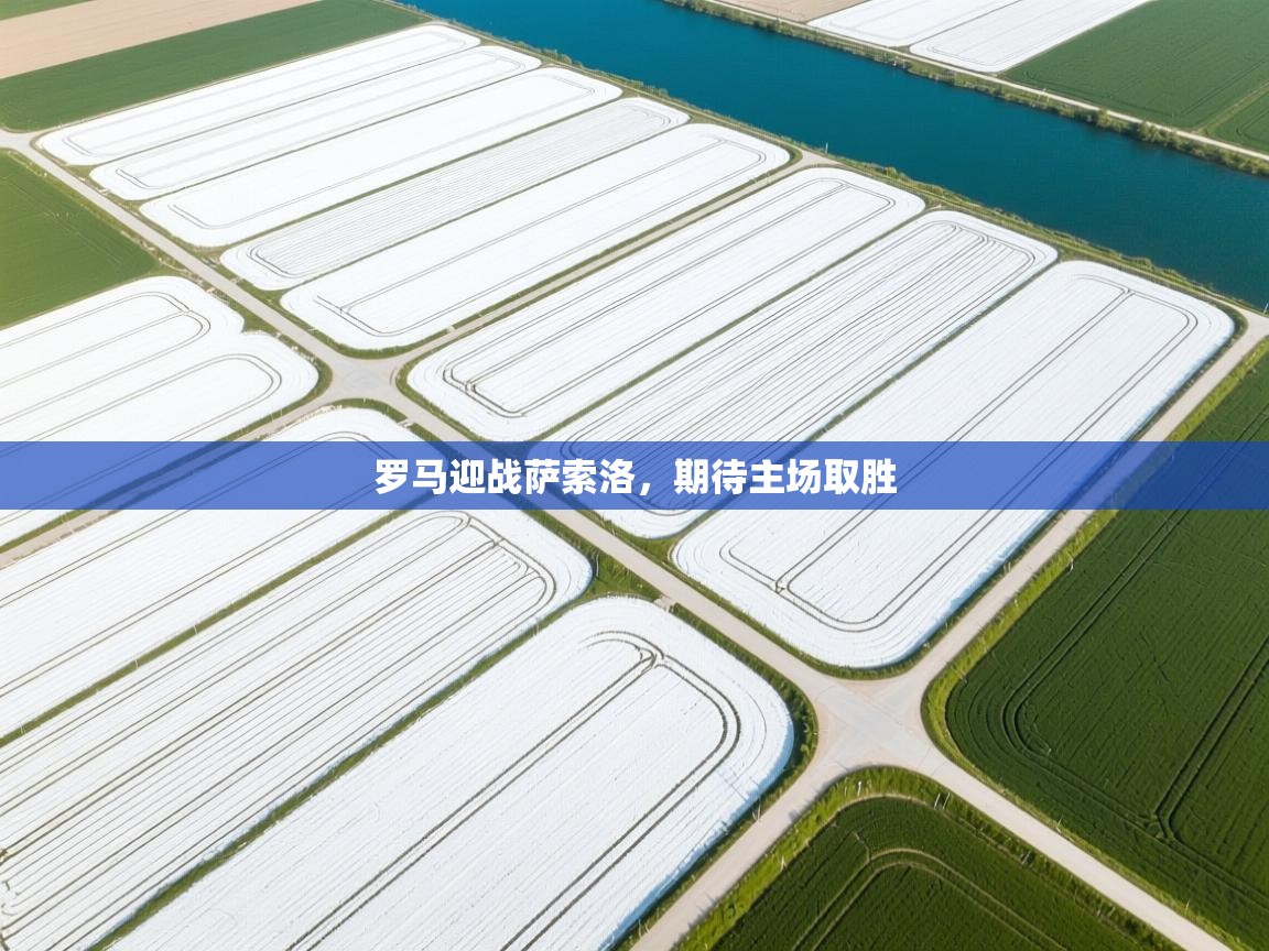 开运体育入口-罗马迎战萨索洛，期待主场取胜  第3张