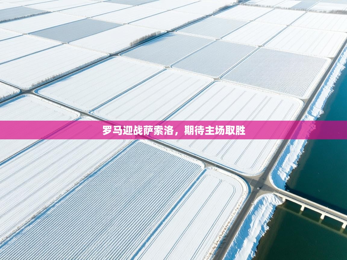 开运体育入口-罗马迎战萨索洛，期待主场取胜  第4张