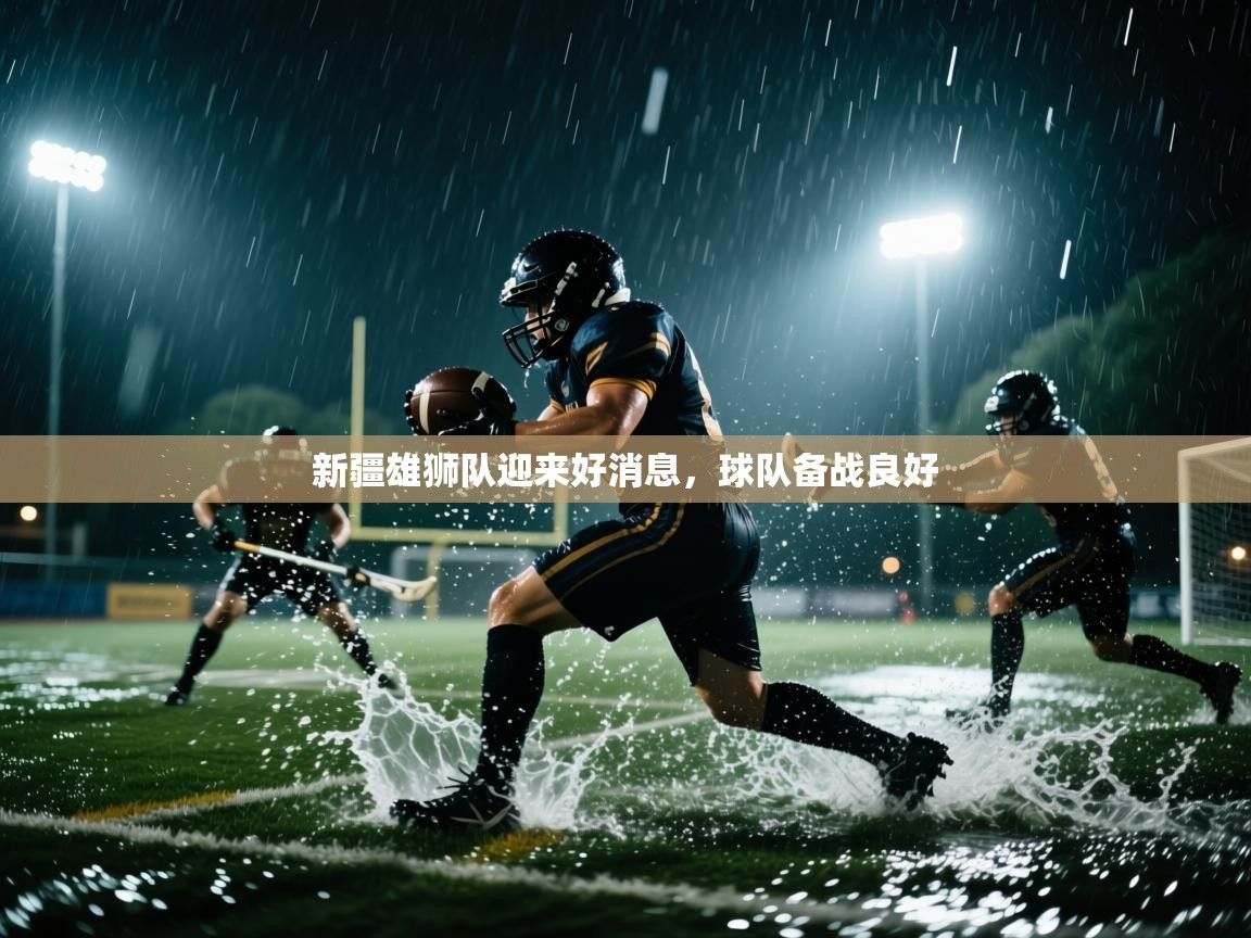 开云体育版本更新日志2025-新疆雄狮队迎来好消息，球队备战良好  第2张